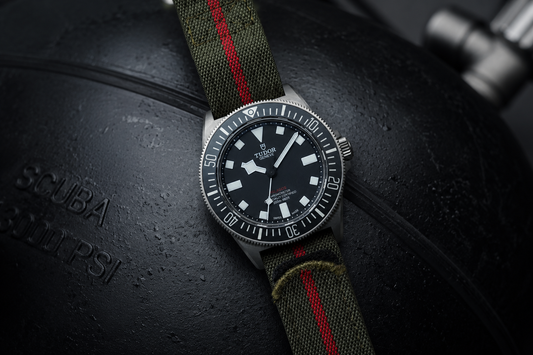 Tudor Pelagos FXD 25717N