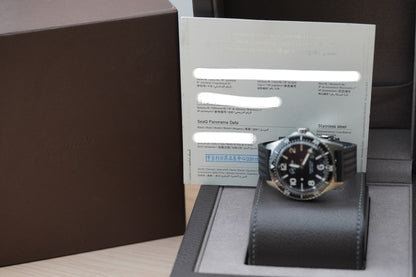 Glashutte Original SeaQ Panorama Date 1-36-13-01-80-33