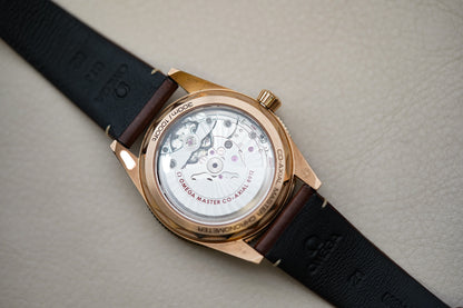 Omega Seamaster 300 Heritage Bronze Gold 234.92.41.21.10.001