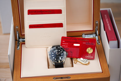 Omega Seamaster 300M Black Dial Rubber 210.32.42.20.01.001