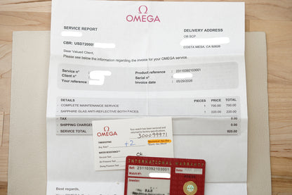 Omega Seamaster Aqua Terra Skyfall 38.5mm Blue 231.10.39.21.03.001