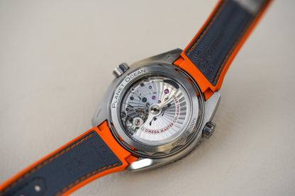 Omega Seamaster Planet Ocean 600M Titanium 215.92.44.21.99.001