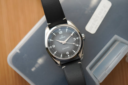 Omega Seamaster Railmaster 235.12.38.20.06.001