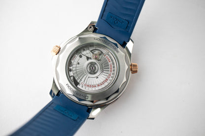 Omega Seamaster 300M Sedna Gold 210.22.42.20.03.002