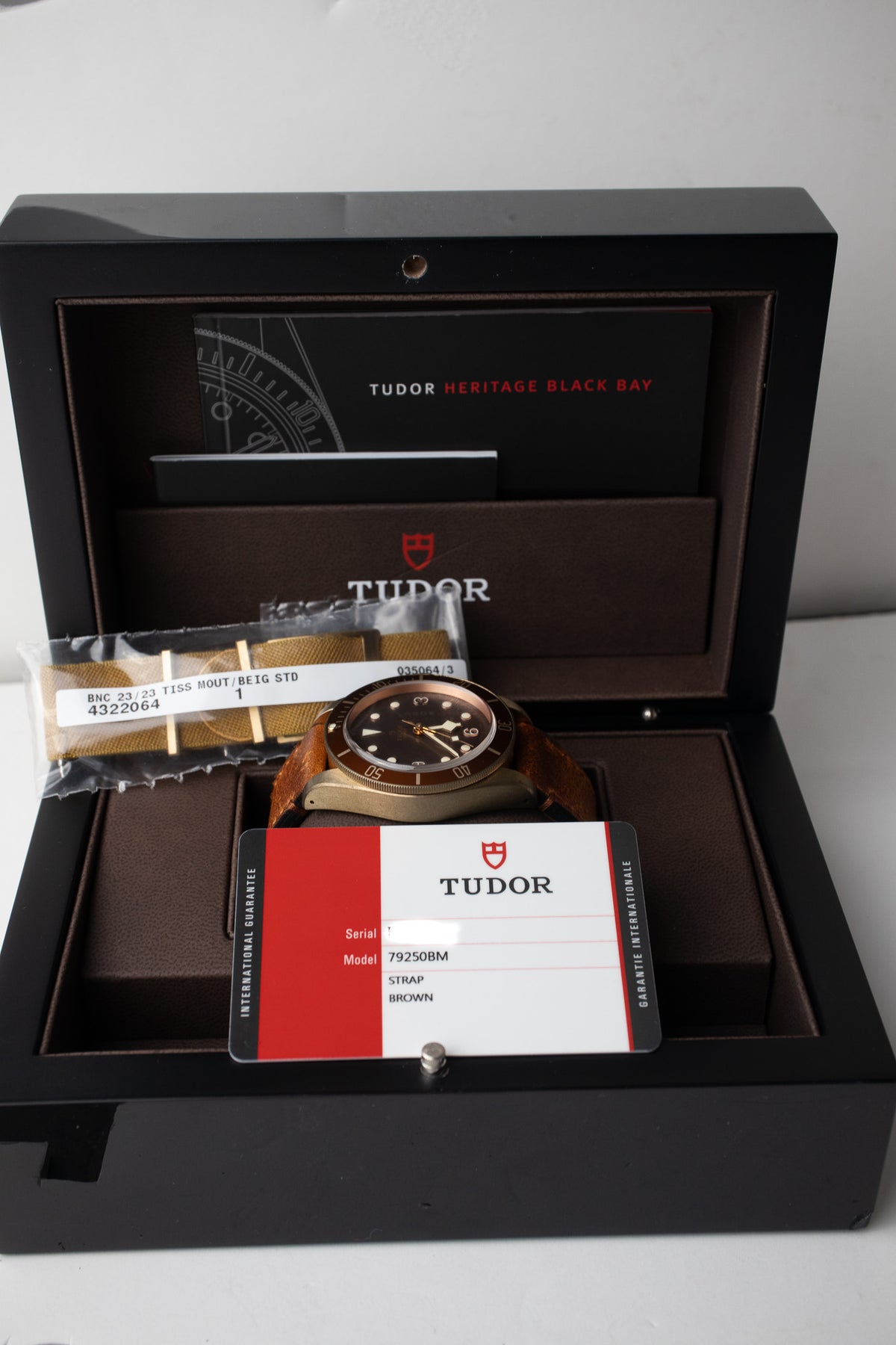 Tudor Black Bay Bronze 79250BM