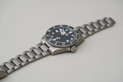 Tudor Pelagos 39 Dino Titanium 25407 Google