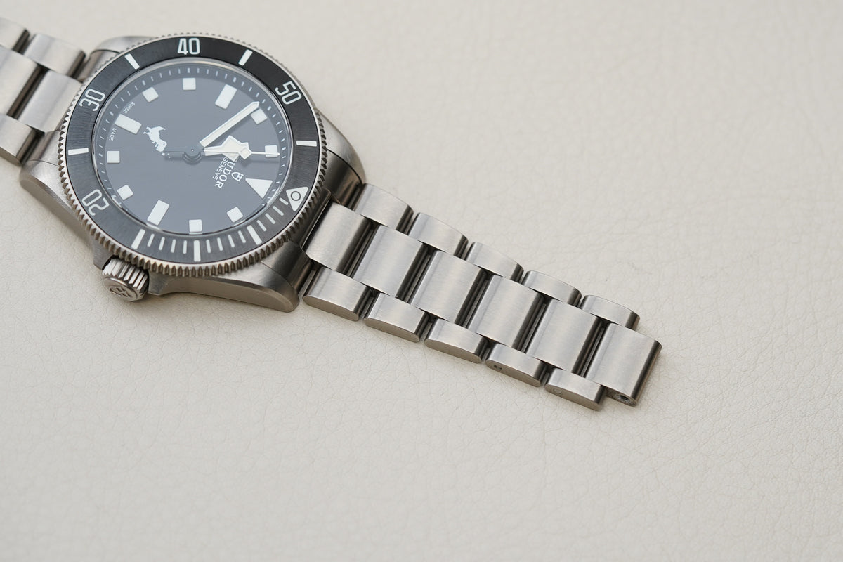 Tudor Pelagos 39 Dino Titanium 25407 Google