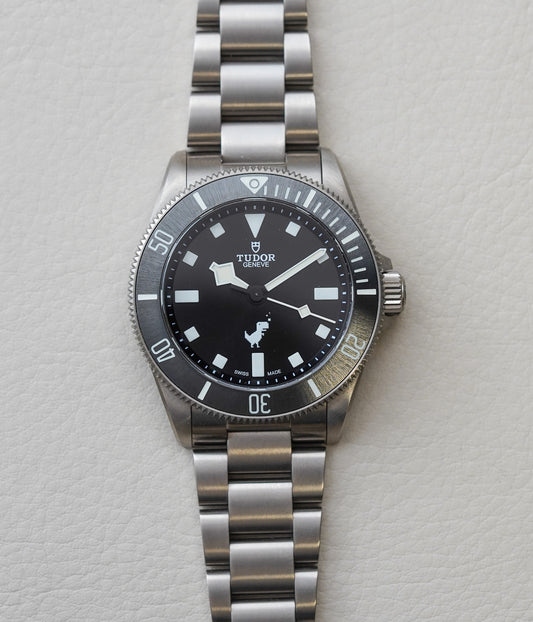 Tudor Pelagos 39 Dino Titanium 25407 Google