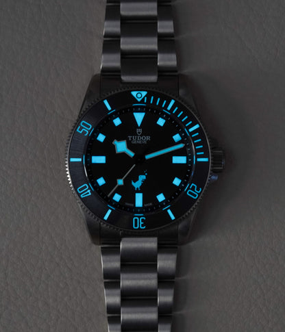 Tudor Pelagos 39 Dino Titanium 25407 Google
