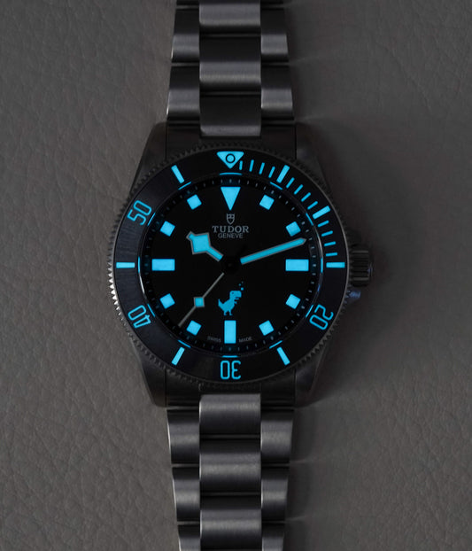 Tudor Pelagos 39 Dino Titanium 25407 Google
