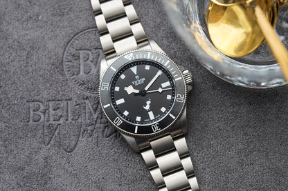 Tudor Pelagos 39 Dino Titanium 25407 Google