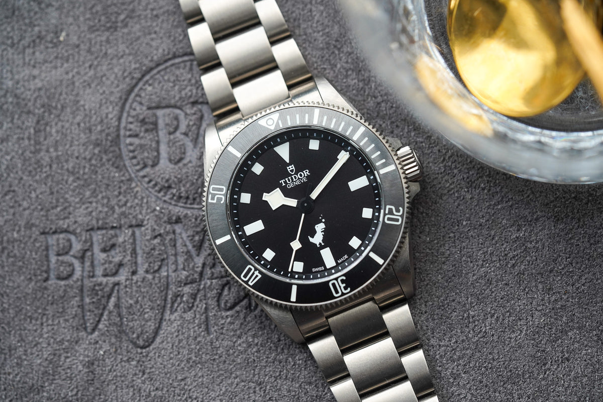 Tudor Pelagos 39 Dino Titanium 25407 Google