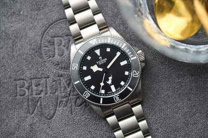 Tudor Pelagos 39 Dino Titanium 25407 Google