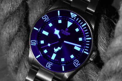 Tudor Pelagos 39 Dino Titanium 25407 Google