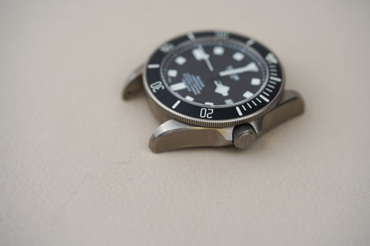 Tudor Pelagos Black 25600TN