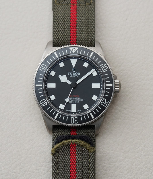 Tudor Pelagos FXD 25717N