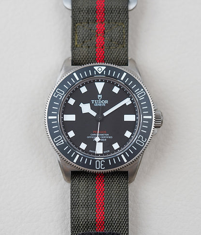 Tudor Pelagos FXD Black 25717N