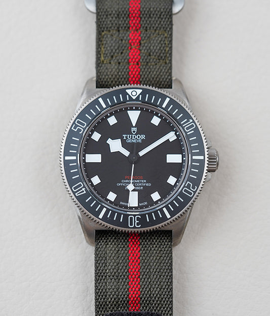 Tudor Pelagos FXD Black 25717N