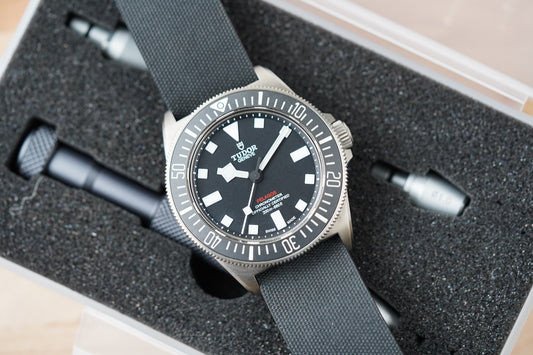 Tudor Pelagos FXD Black 25717N
